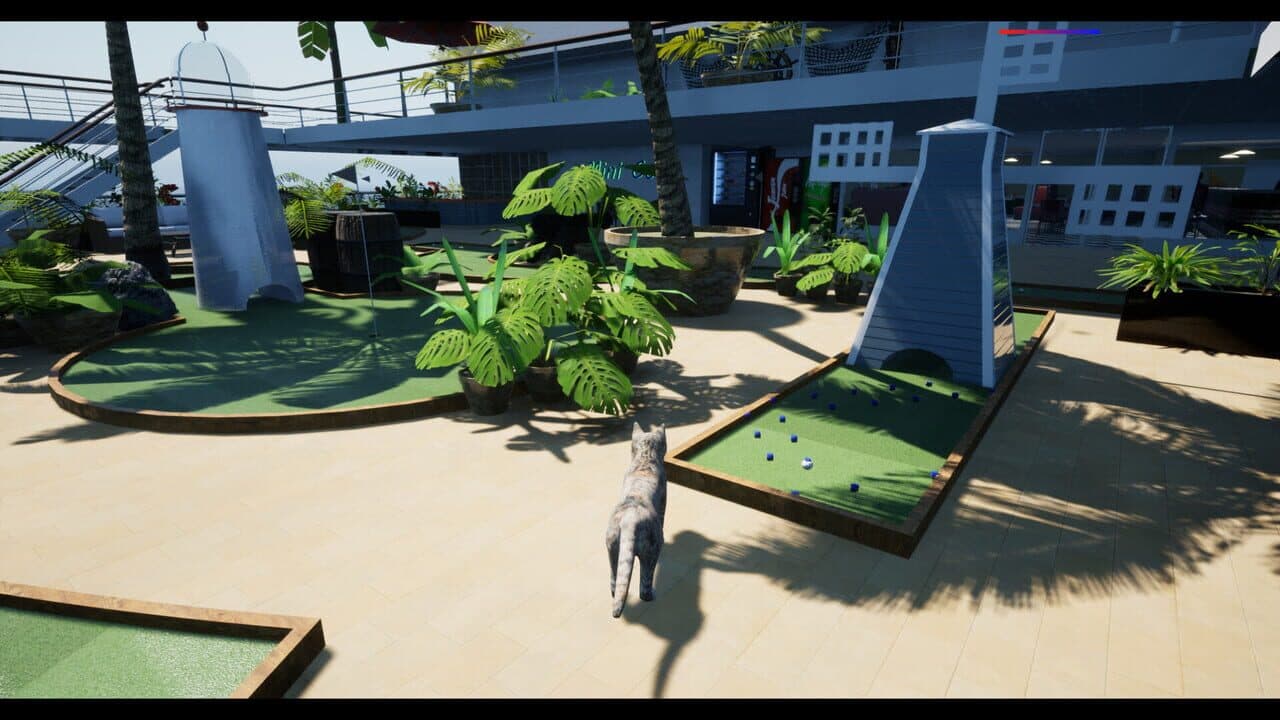 Ship's Cat thumbnail 2