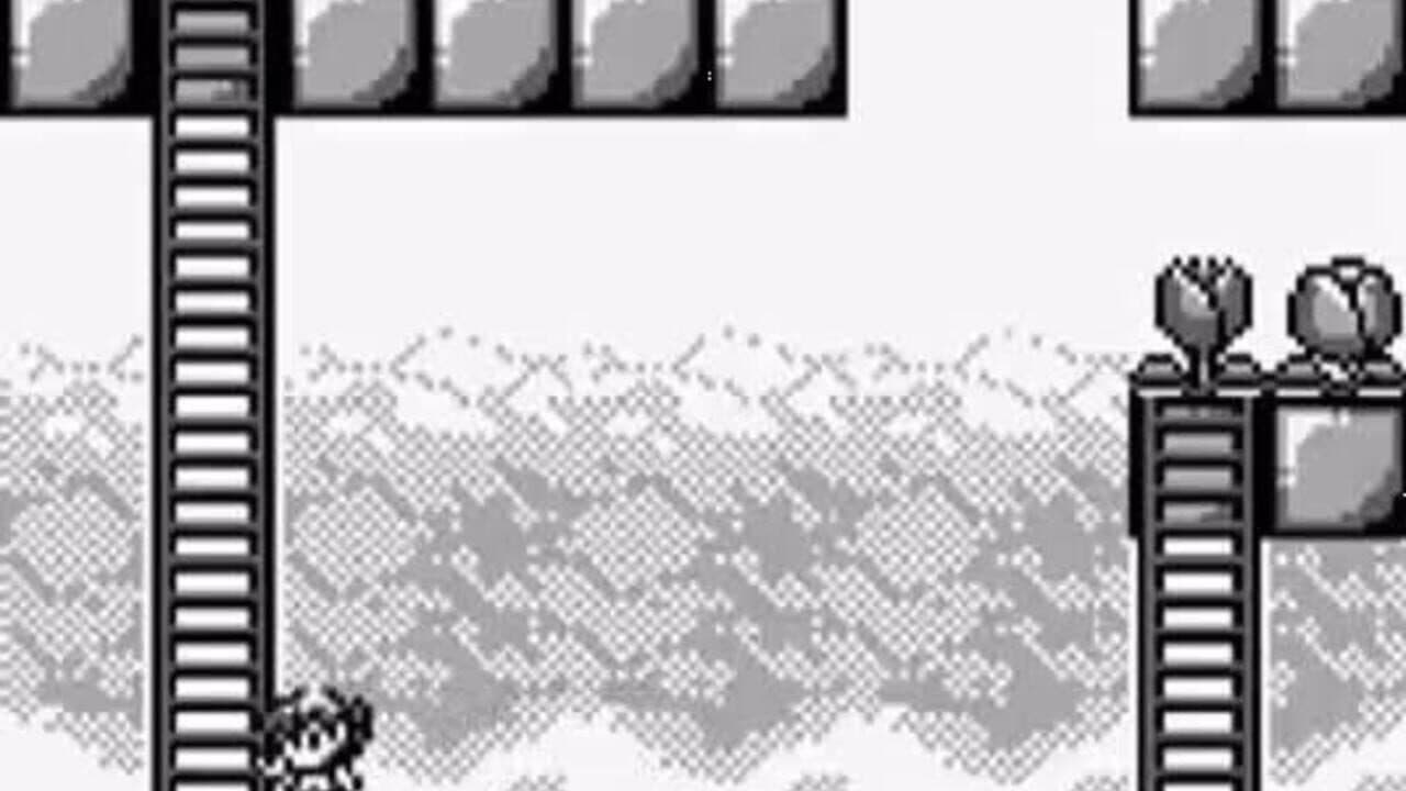 Rod-Land thumbnail 3