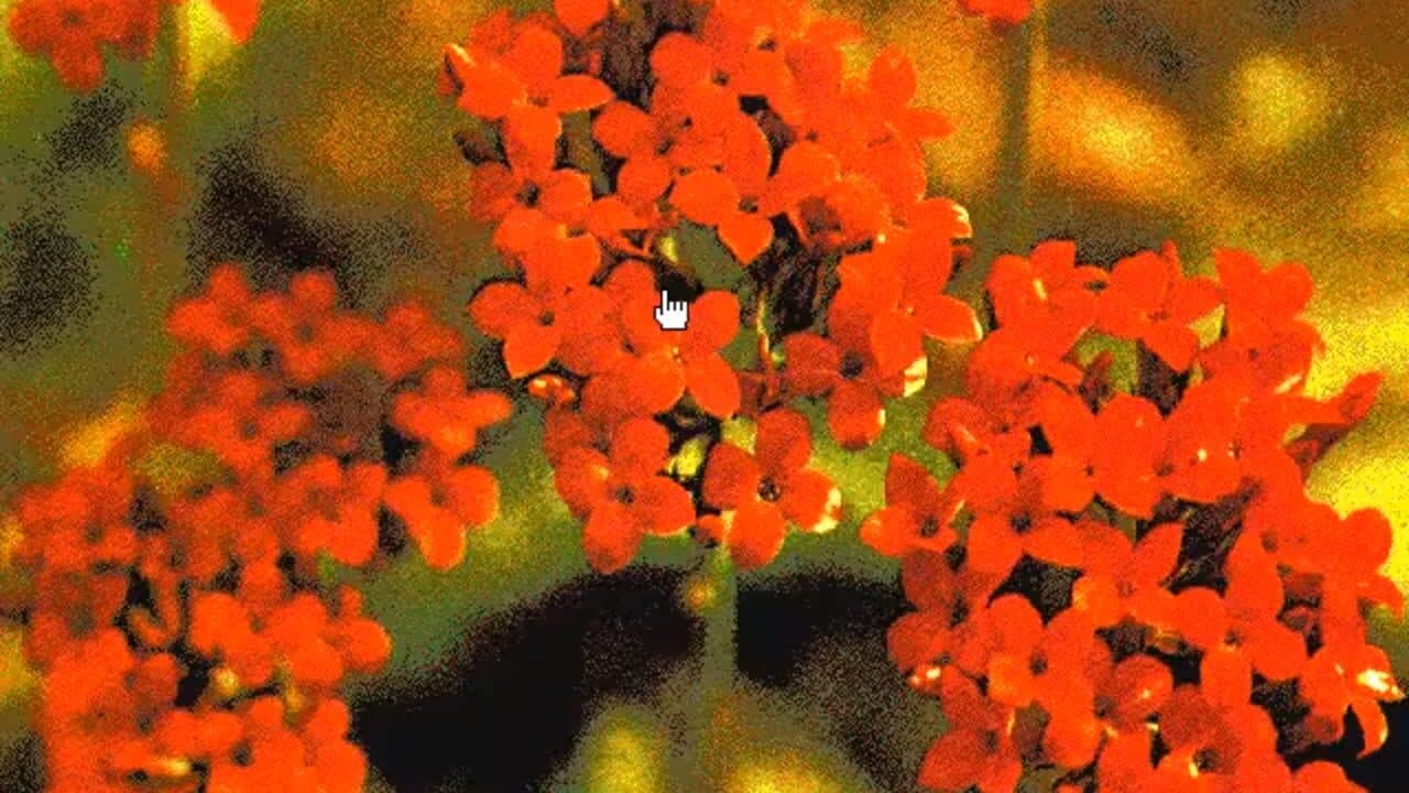 Flicts thumbnail 5