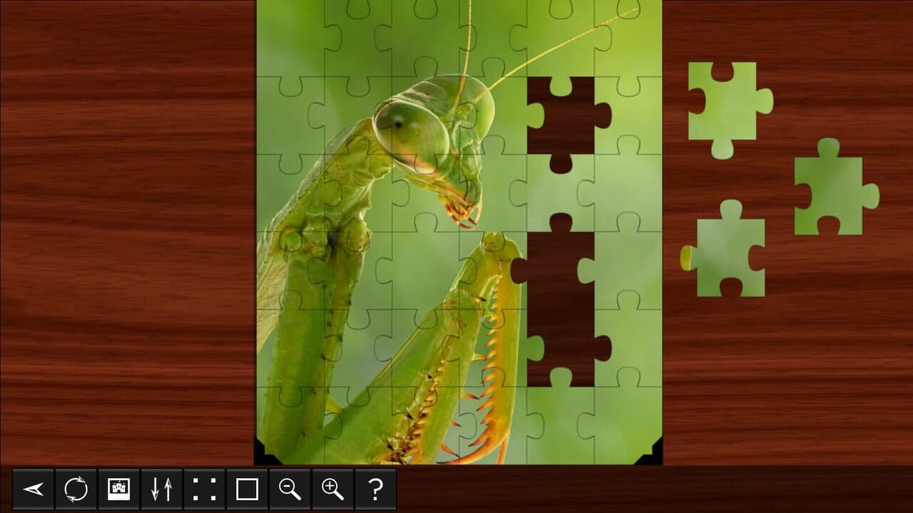 Jigsaw Puzzle World: Insects screenshot 1
