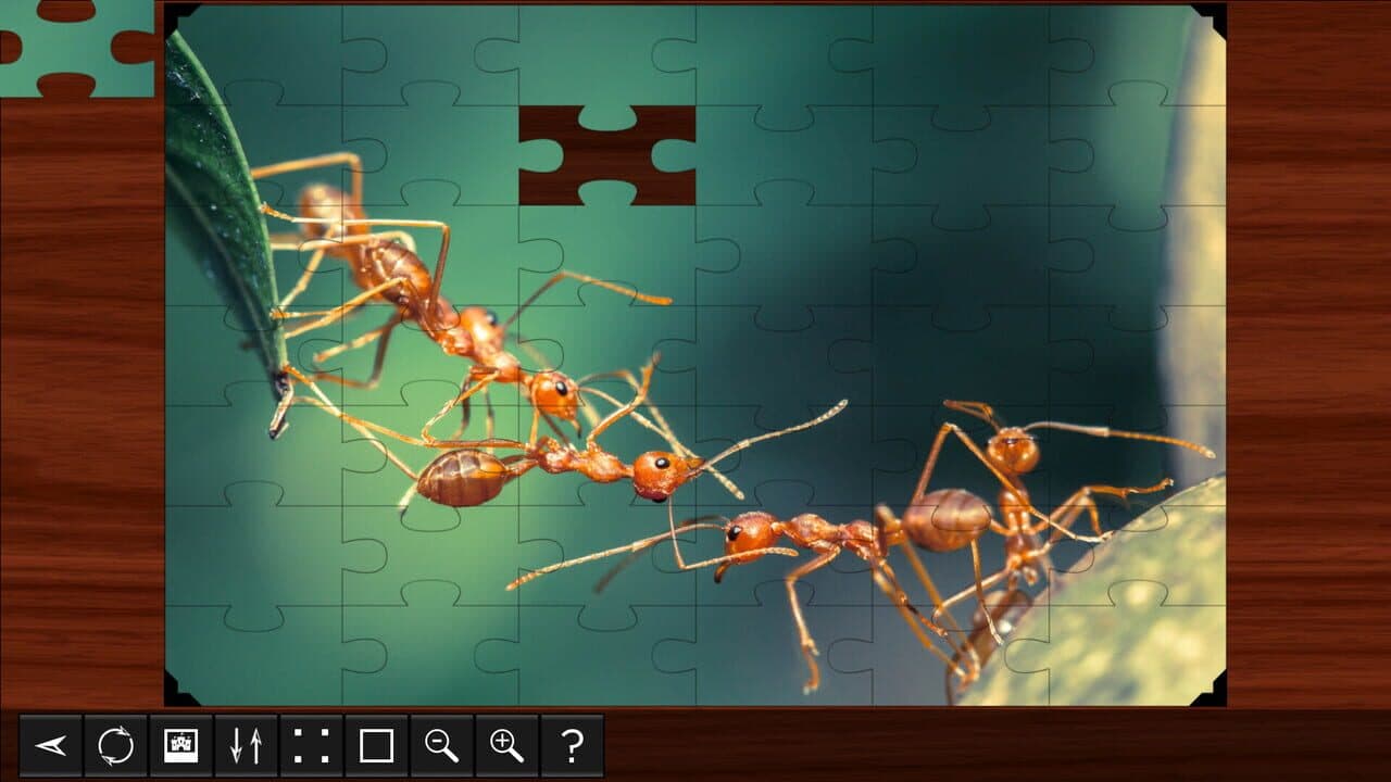 Jigsaw Puzzle World: Insects thumbnail 2