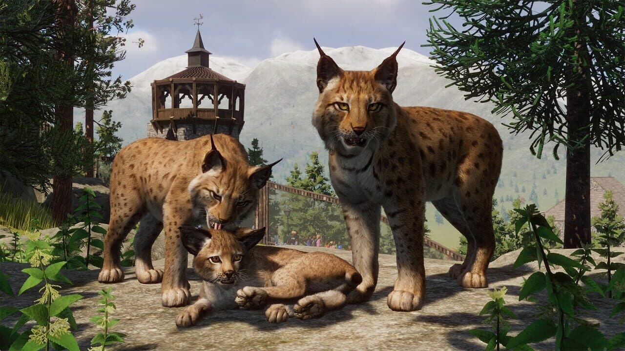 Planet Zoo: Console Edition - Ultimate Edition thumbnail 4
