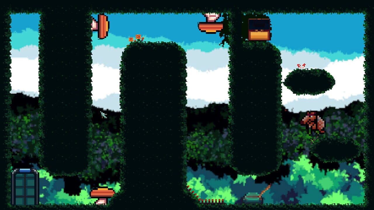 Dillo Guy thumbnail 9