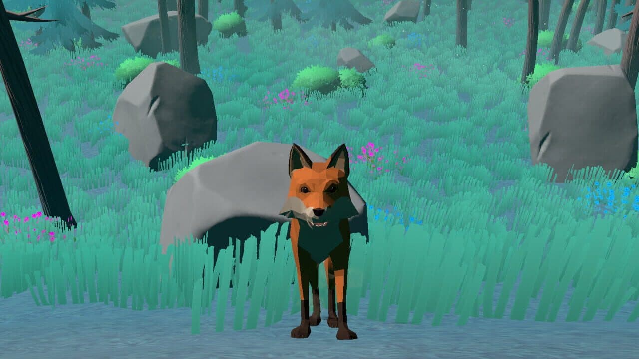 Leafy Trails Collection thumbnail 5