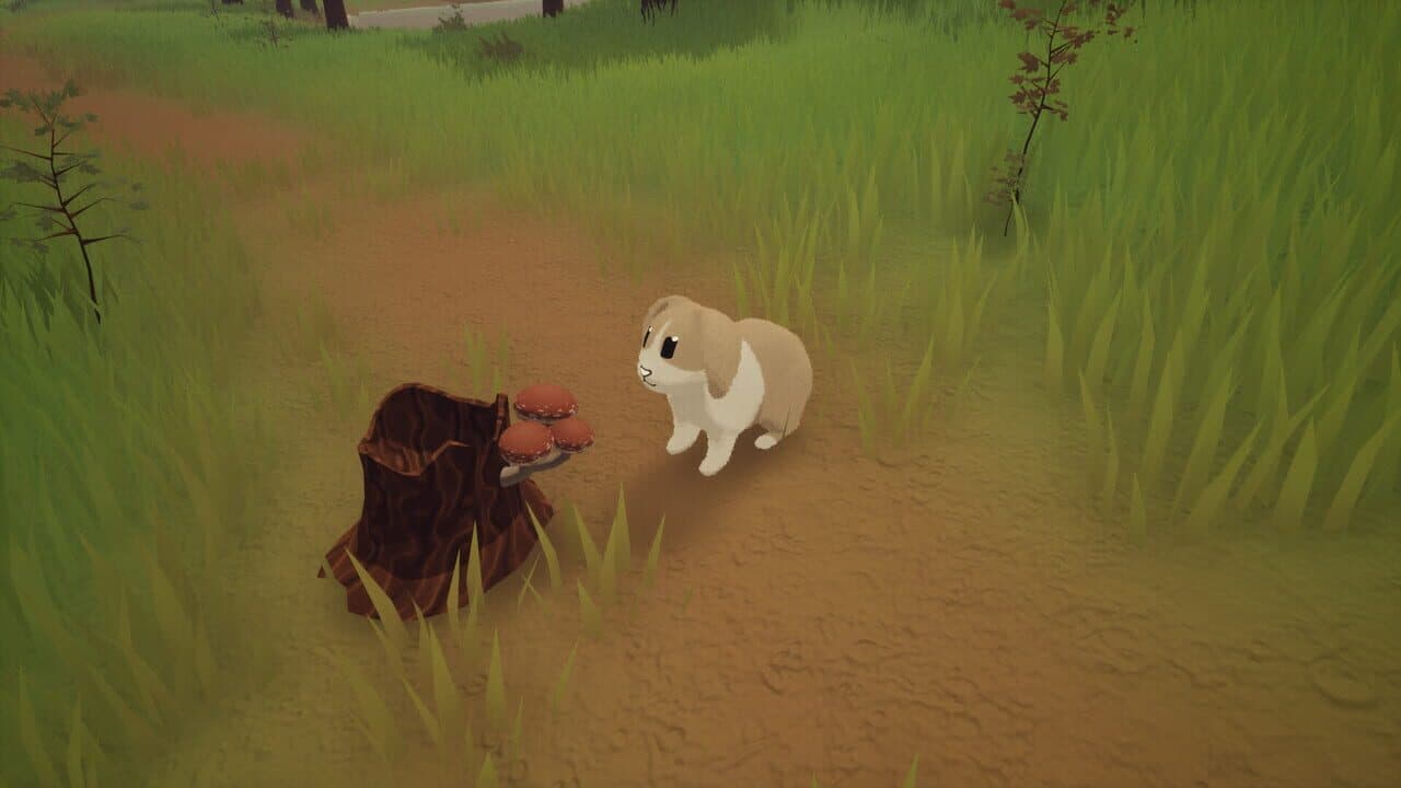 Cinnabunny thumbnail 8