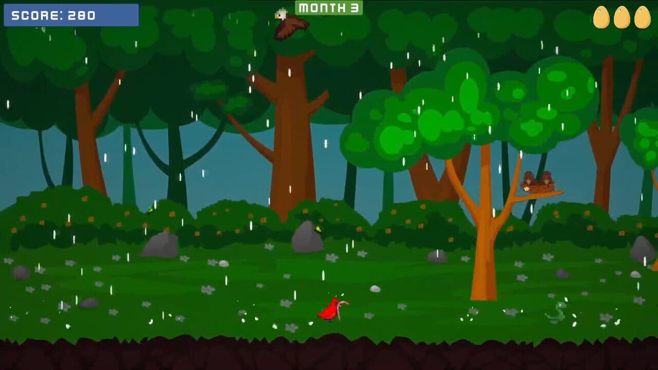Bird Year thumbnail 4