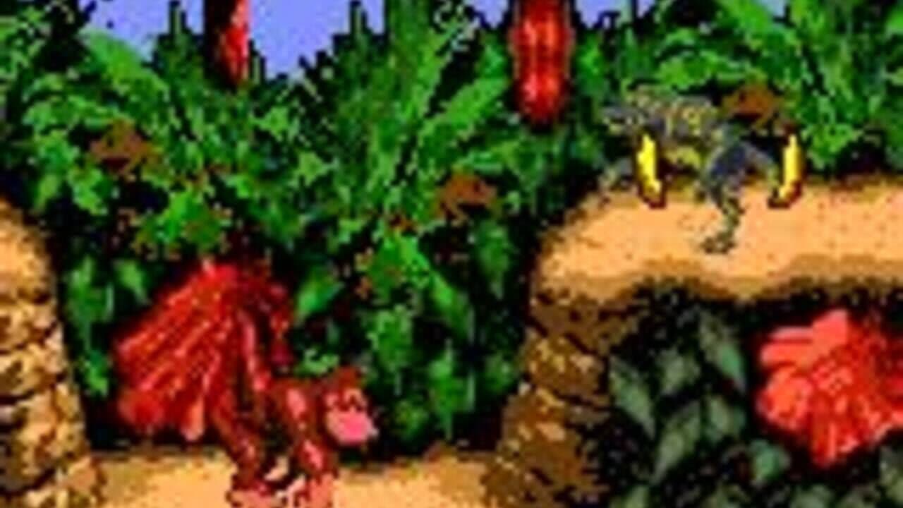 Donkey Kong Country thumbnail 6