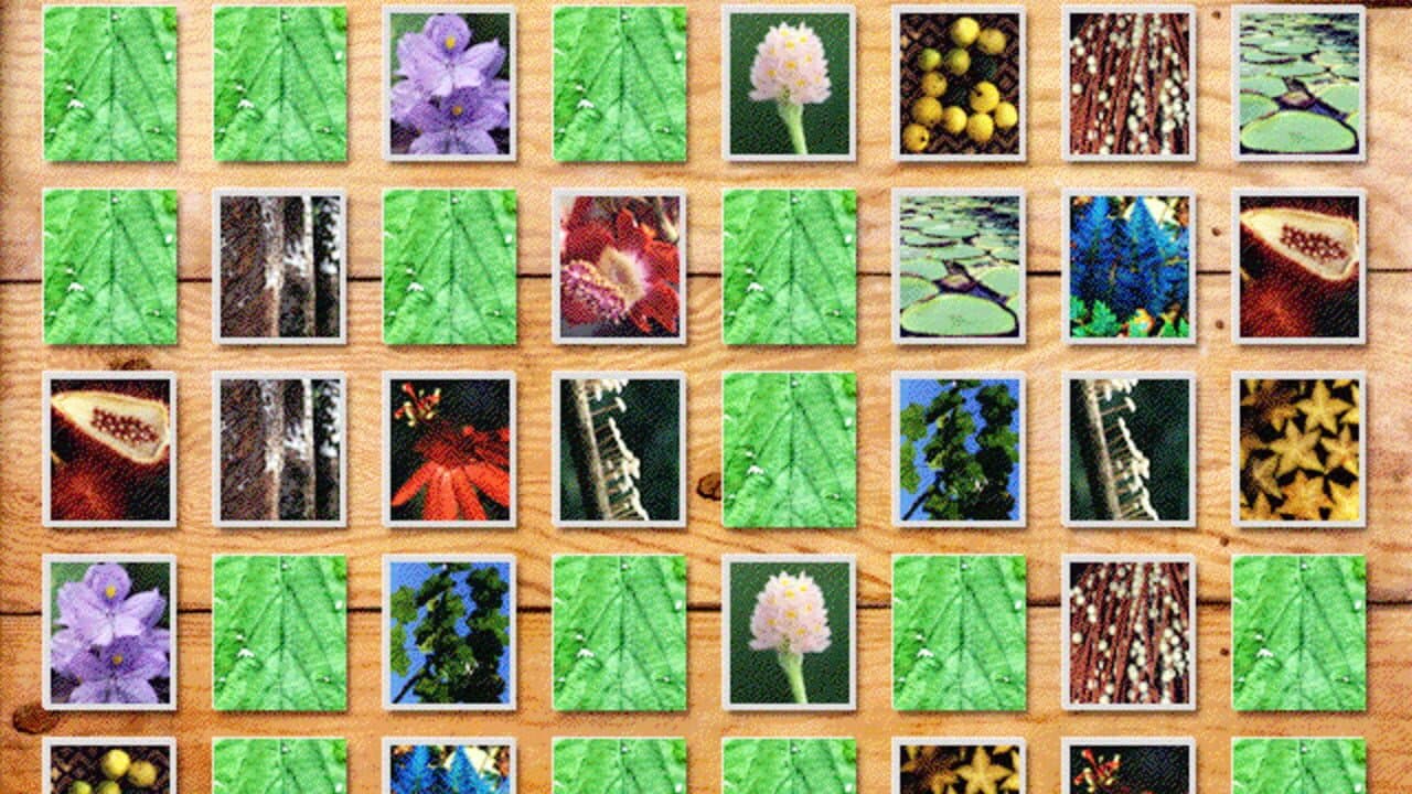 Lost in the Amazon thumbnail 7