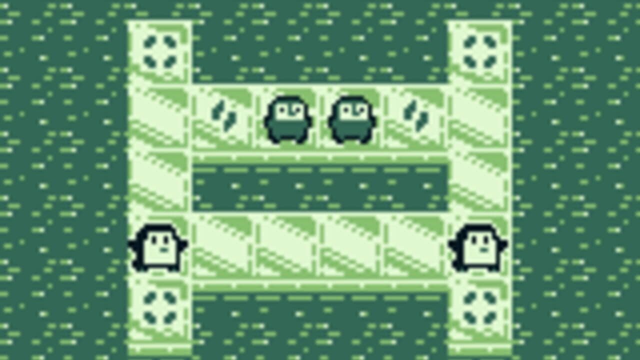 Penguin Migrants thumbnail 4