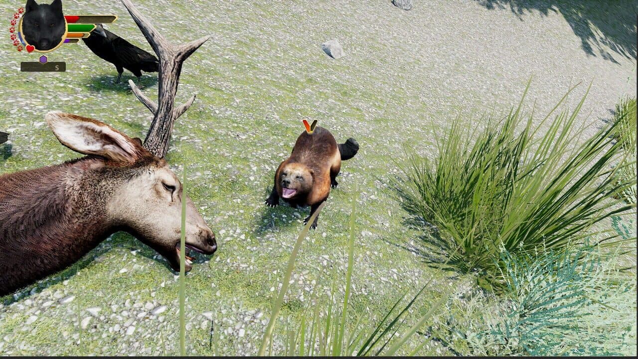 WolfQuest: Anniversary Edition - Hellroaring Mountain thumbnail 7
