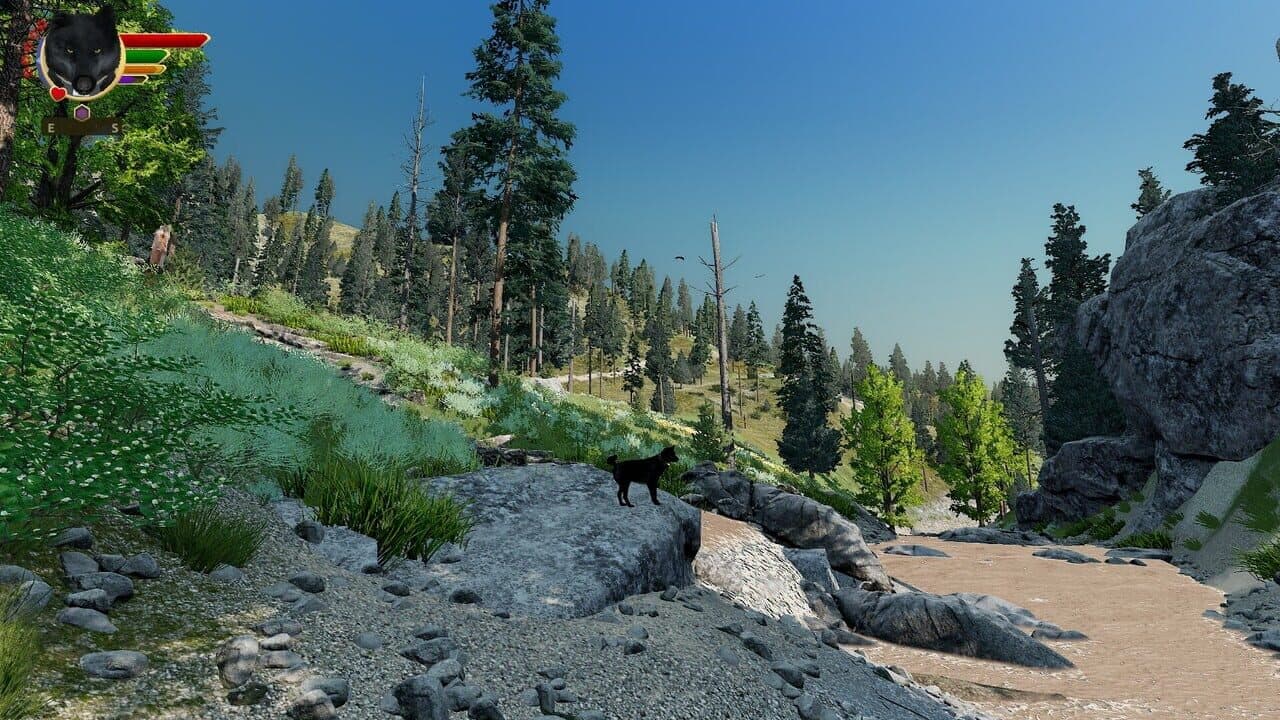 WolfQuest: Anniversary Edition - Hellroaring Mountain thumbnail 10