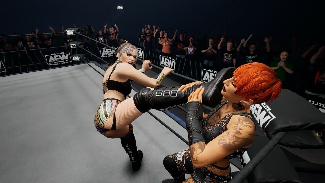 All Elite Wrestling: Fight Forever - Hayter's Gunna Game thumbnail 2