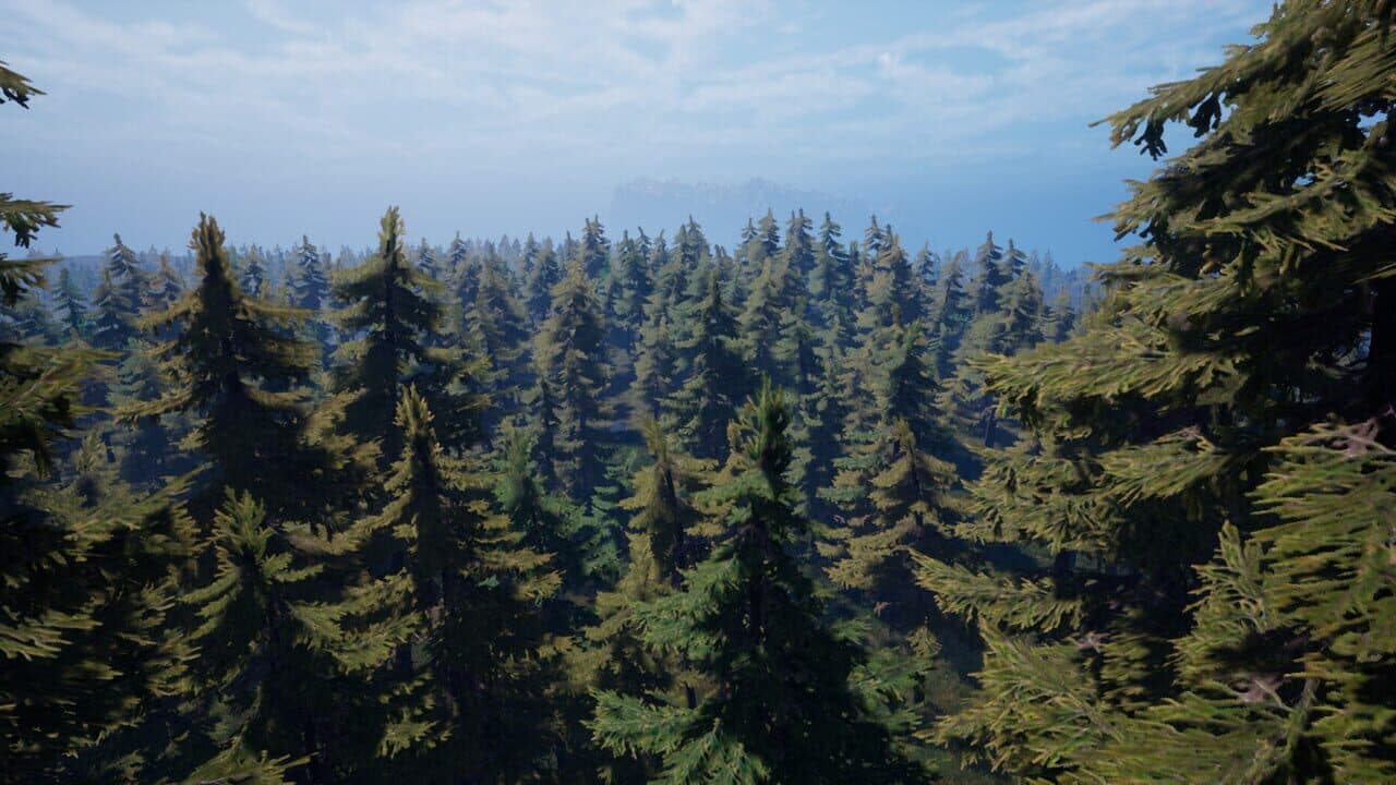 Forest of Fear thumbnail 7
