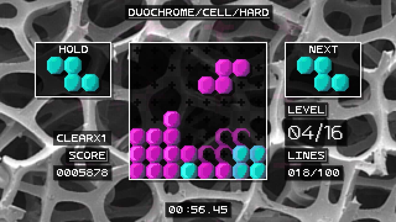 Tetrachroma thumbnail 6