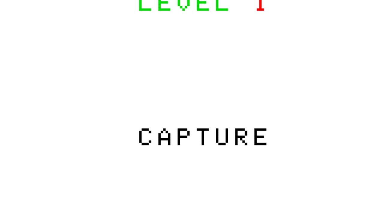 Capture screenshot 1