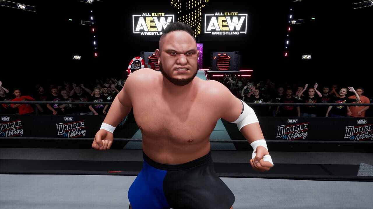All Elite Wrestling: Fight Forever - World War Joe thumbnail 5