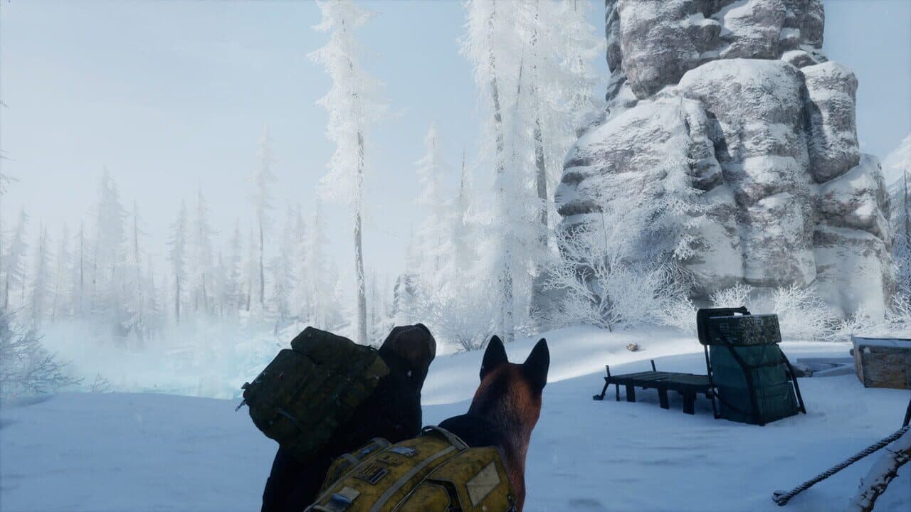 Permafrost thumbnail 6