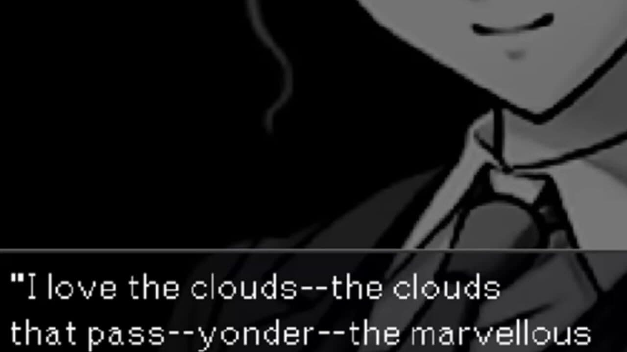 Turnabout Curtain thumbnail 3