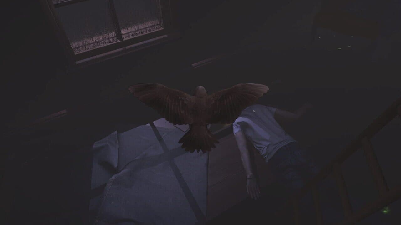Sparrow thumbnail 2