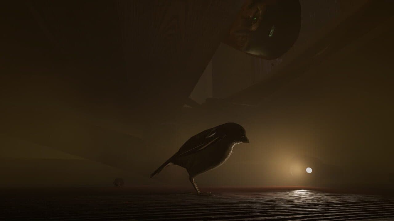 Sparrow thumbnail 4