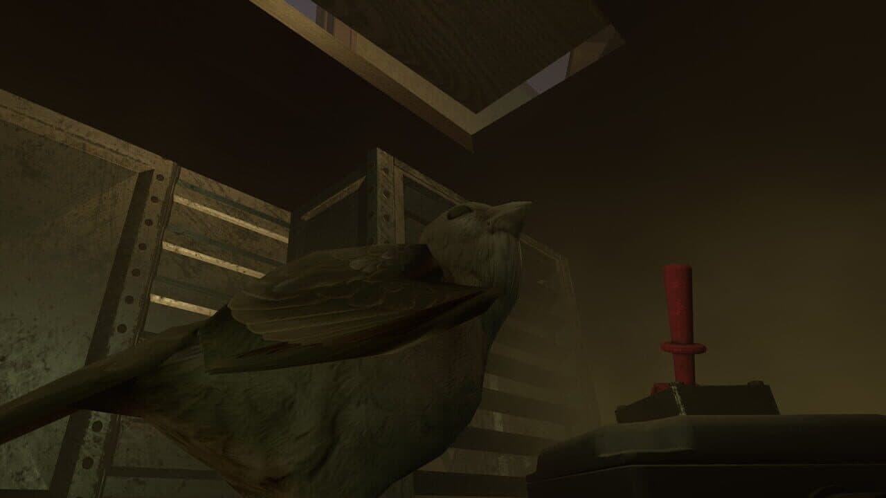 Sparrow thumbnail 8