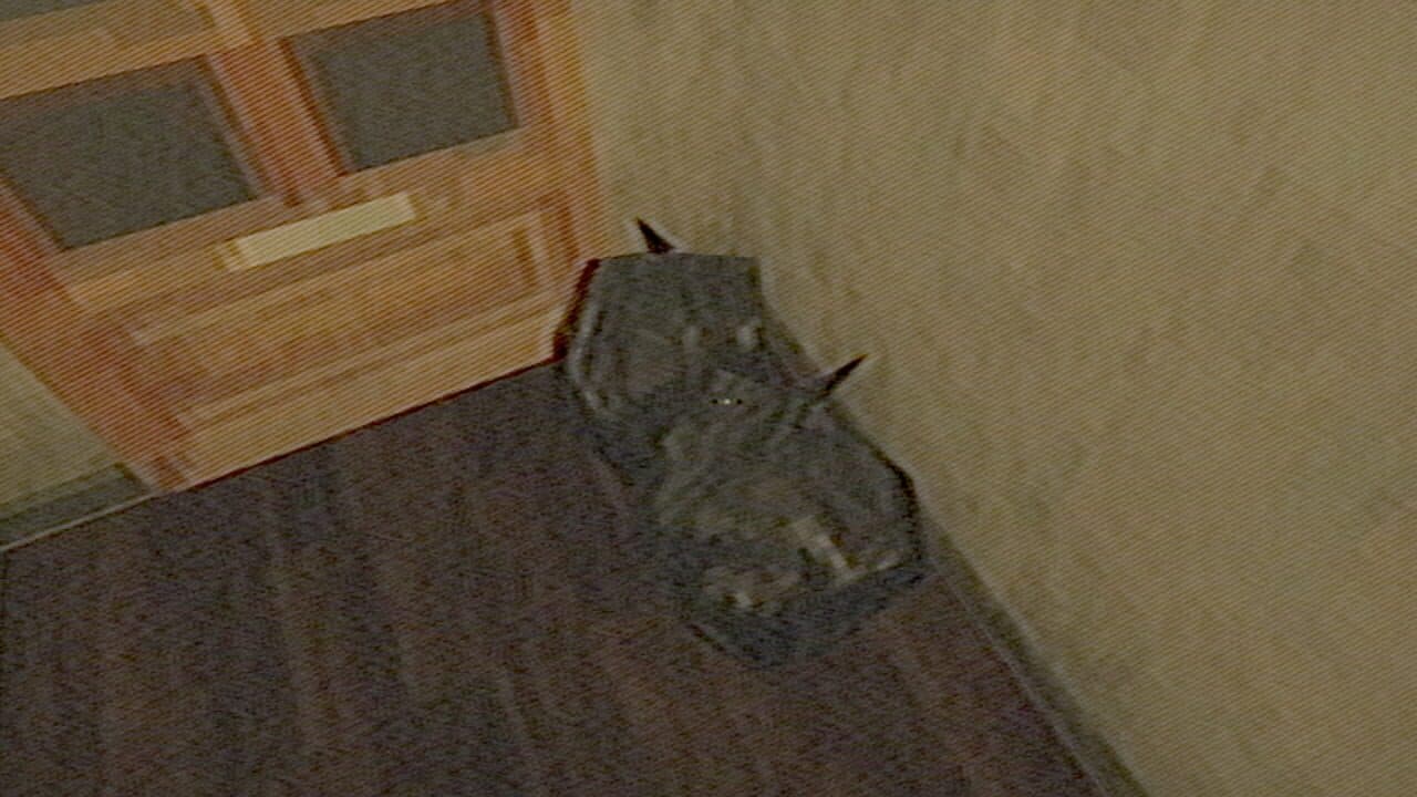Someone's Outside thumbnail 4