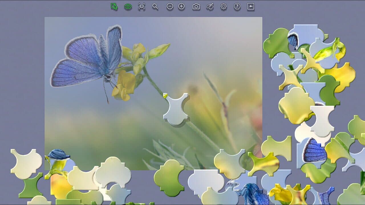 Master of Pieces: Jigsaw Puzzles thumbnail 2