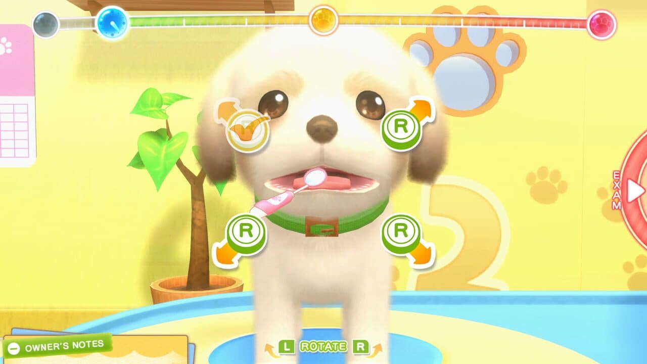 Pups & Purrs Animal Hospital and Fun! Fun! Animal Park thumbnail 4