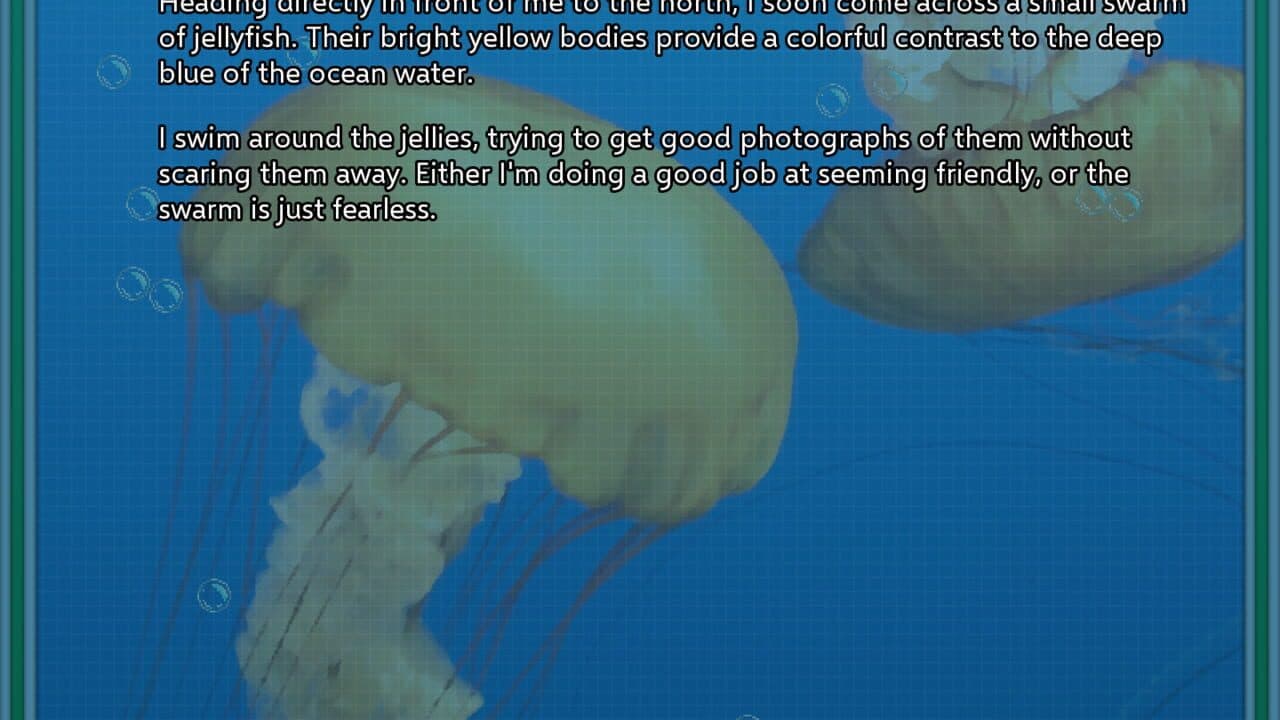Seascape Paradiso screenshot 1