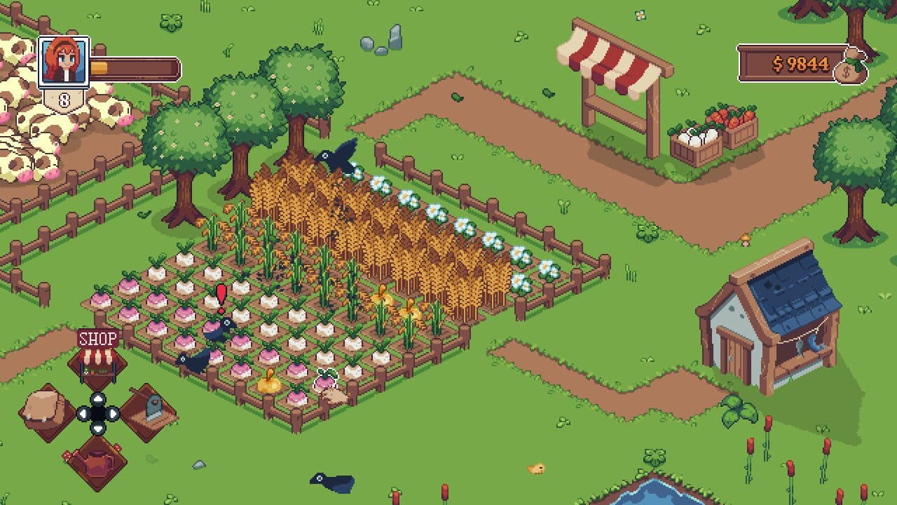 Tiny Little Farm thumbnail 3