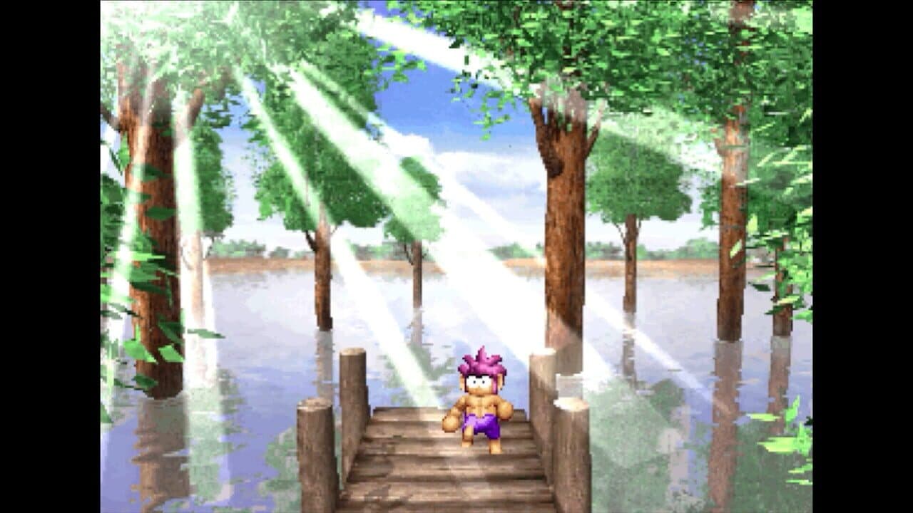 Tomba! Special Edition thumbnail 3