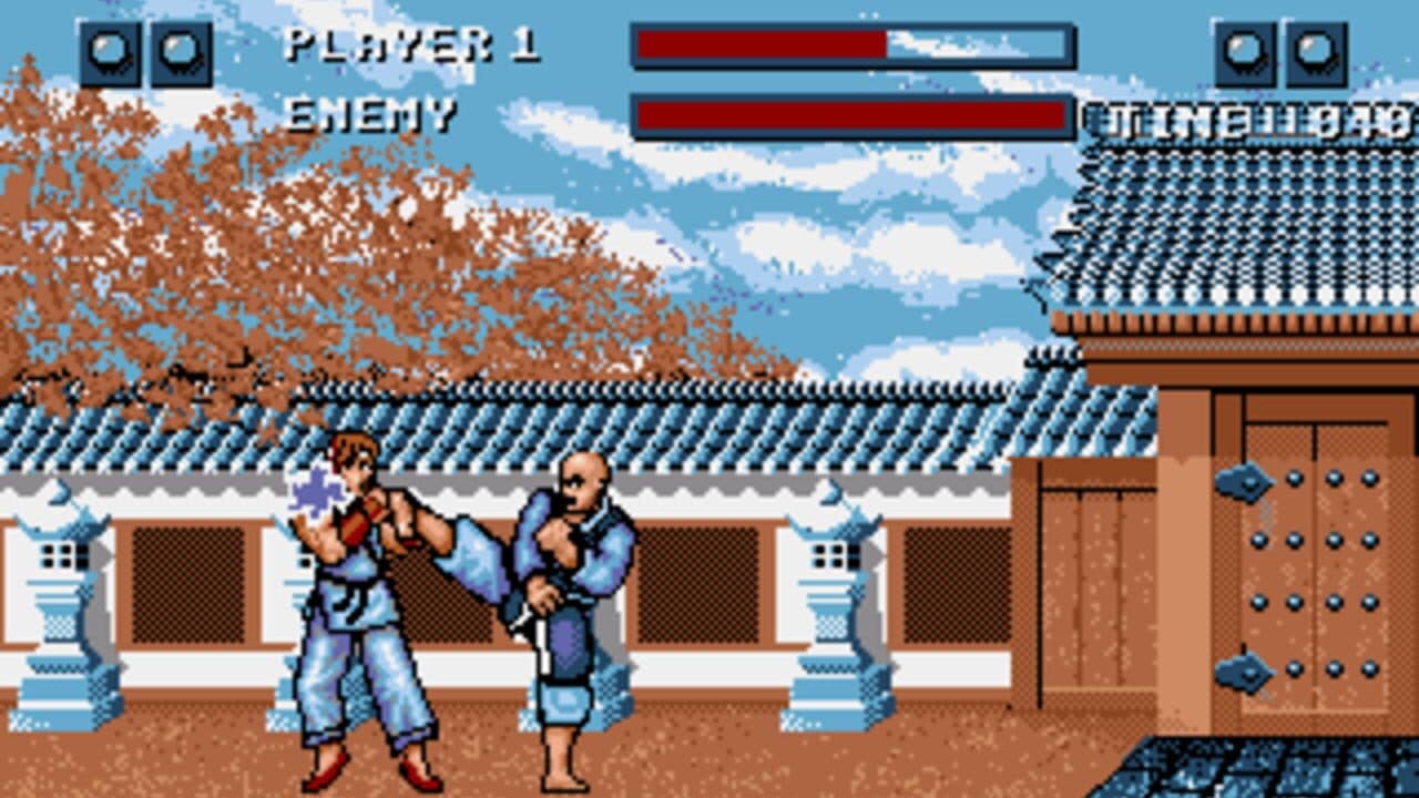 Street Fighter screenshot 1