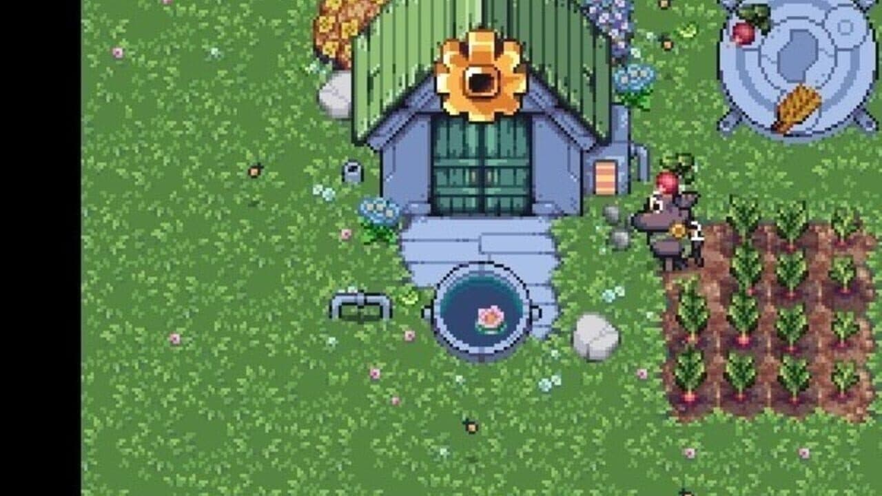 Rusty's Retirement thumbnail 7