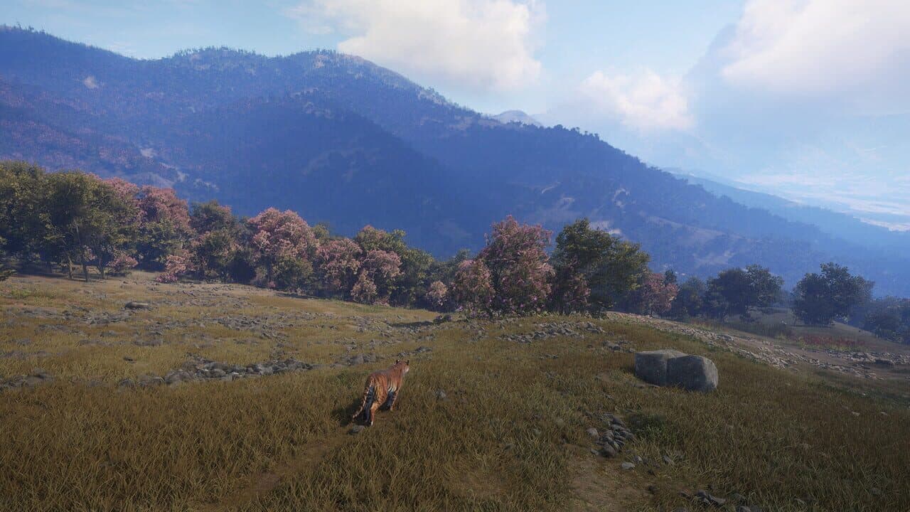 TheHunter: Call of the Wild - Sundarpatan Nepal Hunting Reserve thumbnail 4