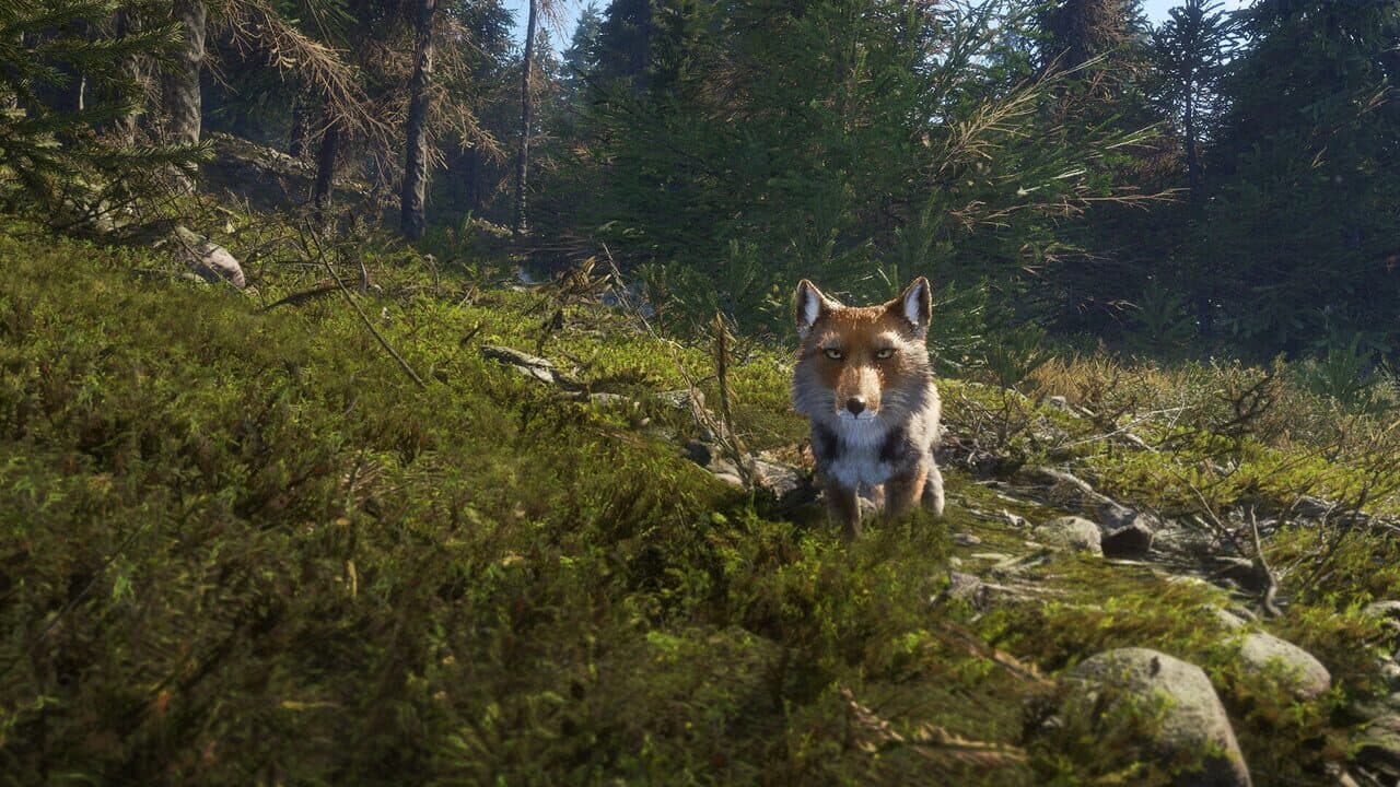 TheHunter: Call of the Wild - Sundarpatan Nepal Hunting Reserve thumbnail 5