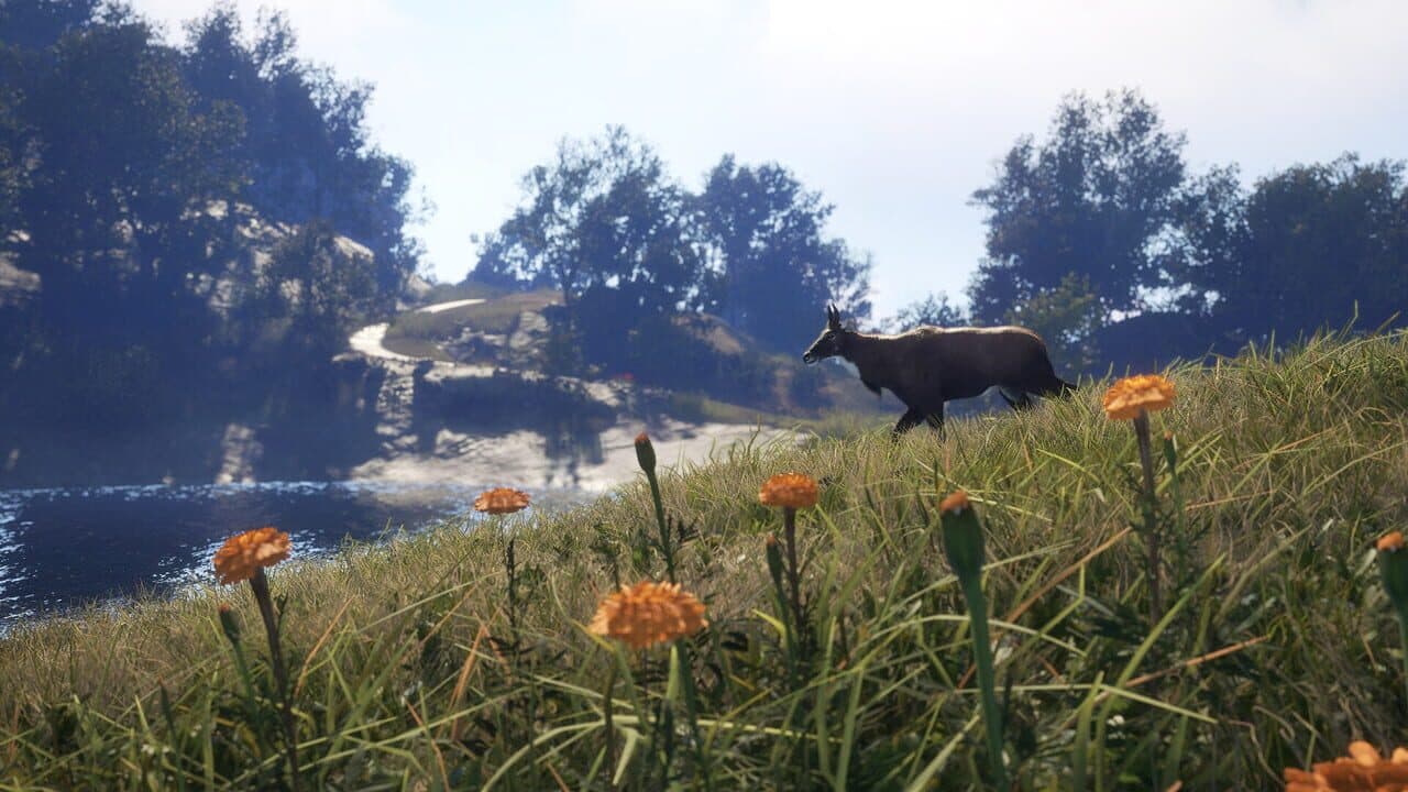 TheHunter: Call of the Wild - Sundarpatan Nepal Hunting Reserve thumbnail 15