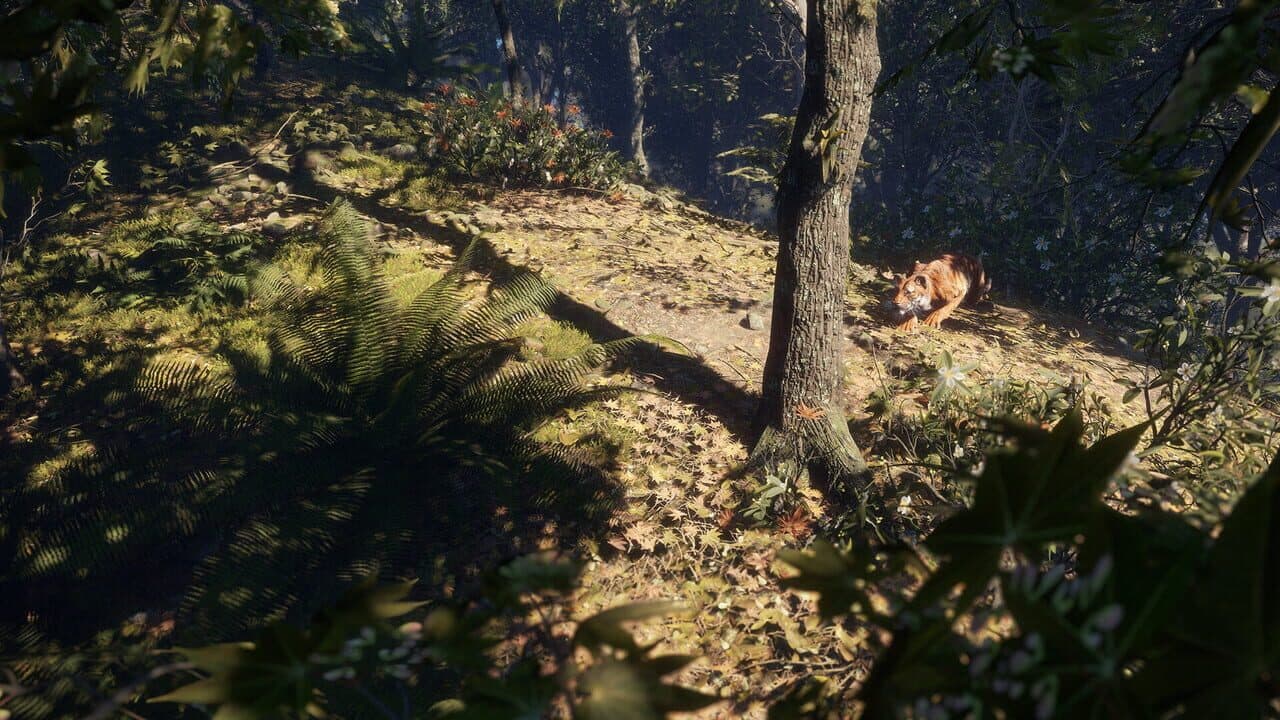 TheHunter: Call of the Wild - Sundarpatan Nepal Hunting Reserve thumbnail 10