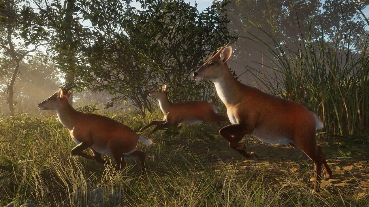 TheHunter: Call of the Wild - Sundarpatan Nepal Hunting Reserve thumbnail 11