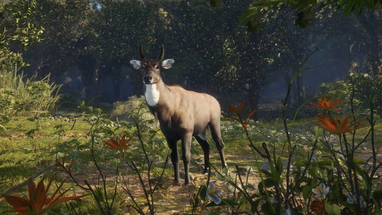 TheHunter: Call of the Wild - Sundarpatan Nepal Hunting Reserve thumbnail 7