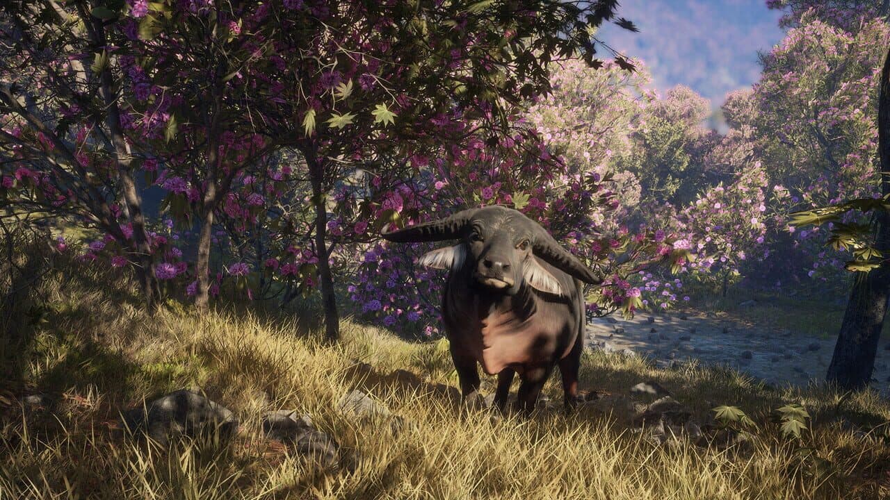 TheHunter: Call of the Wild - Sundarpatan Nepal Hunting Reserve thumbnail 12