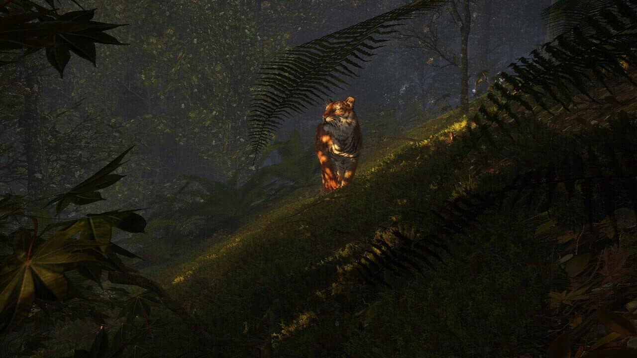 TheHunter: Call of the Wild - Sundarpatan Nepal Hunting Reserve thumbnail 18
