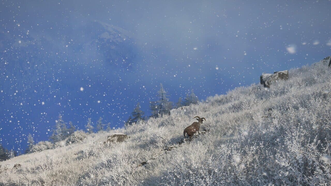 TheHunter: Call of the Wild - Sundarpatan Nepal Hunting Reserve thumbnail 9