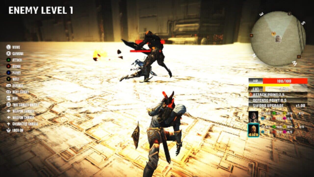 Future Swashbuckler thumbnail 2