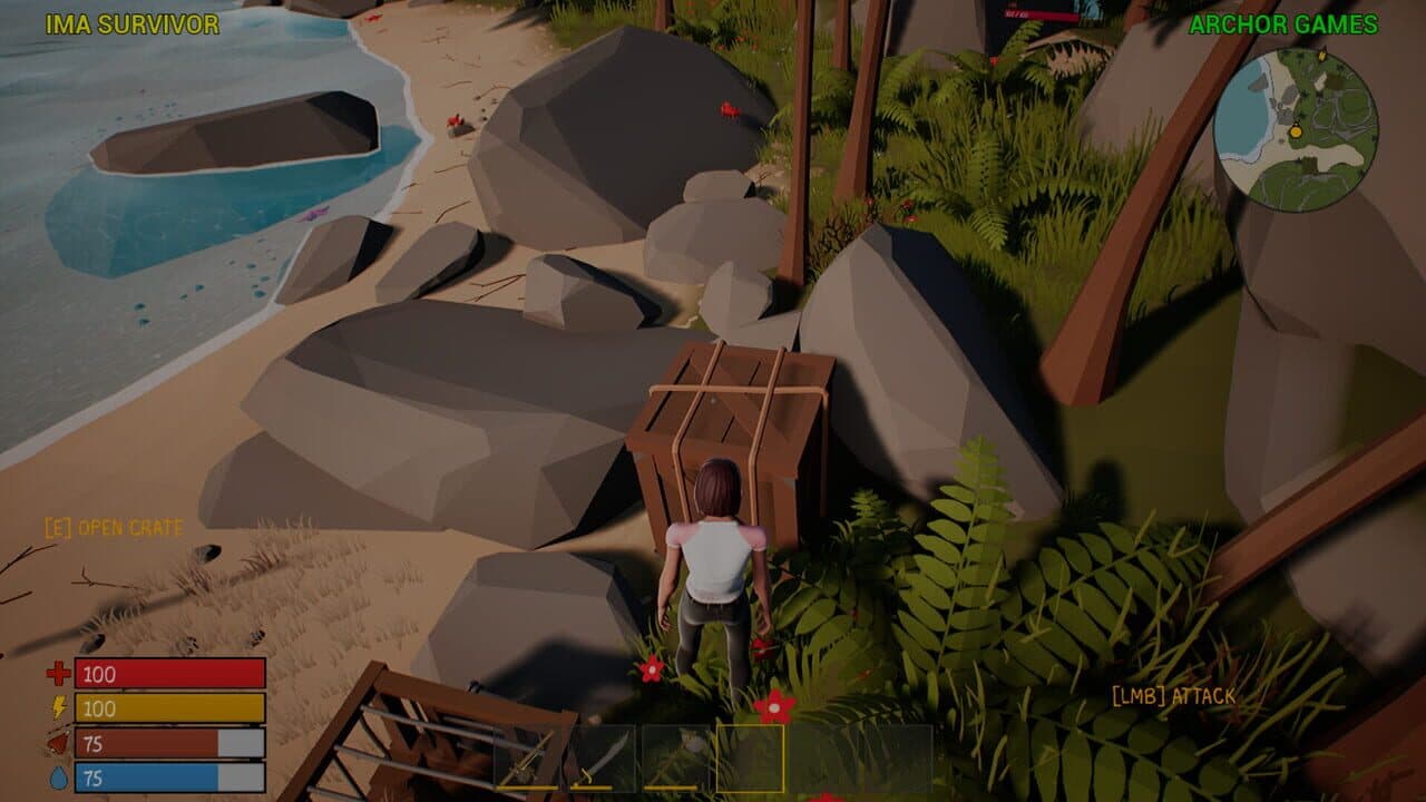 Ima Survivor thumbnail 6