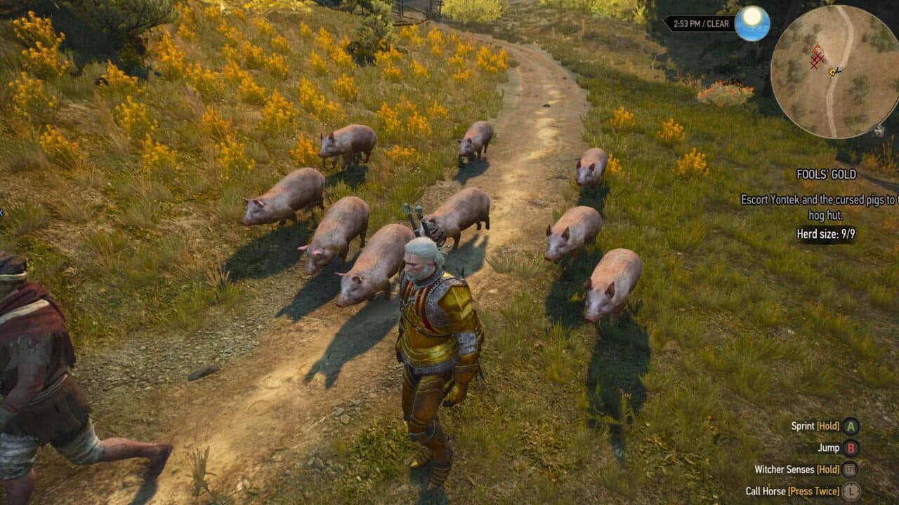 The Witcher 3: Wild Hunt - New Quest 'Fool's Gold' thumbnail 2