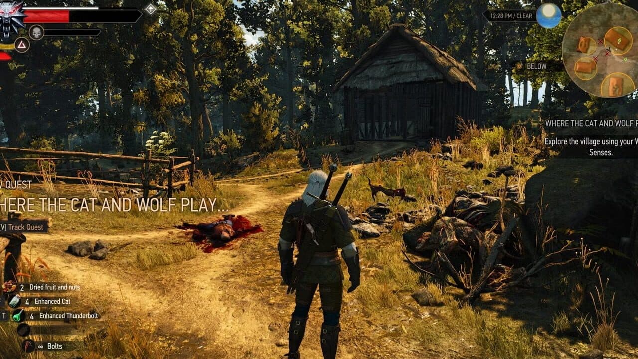 The Witcher 3: Wild Hunt - New Quest 'Where the Cat and Wolf Play...' thumbnail 2