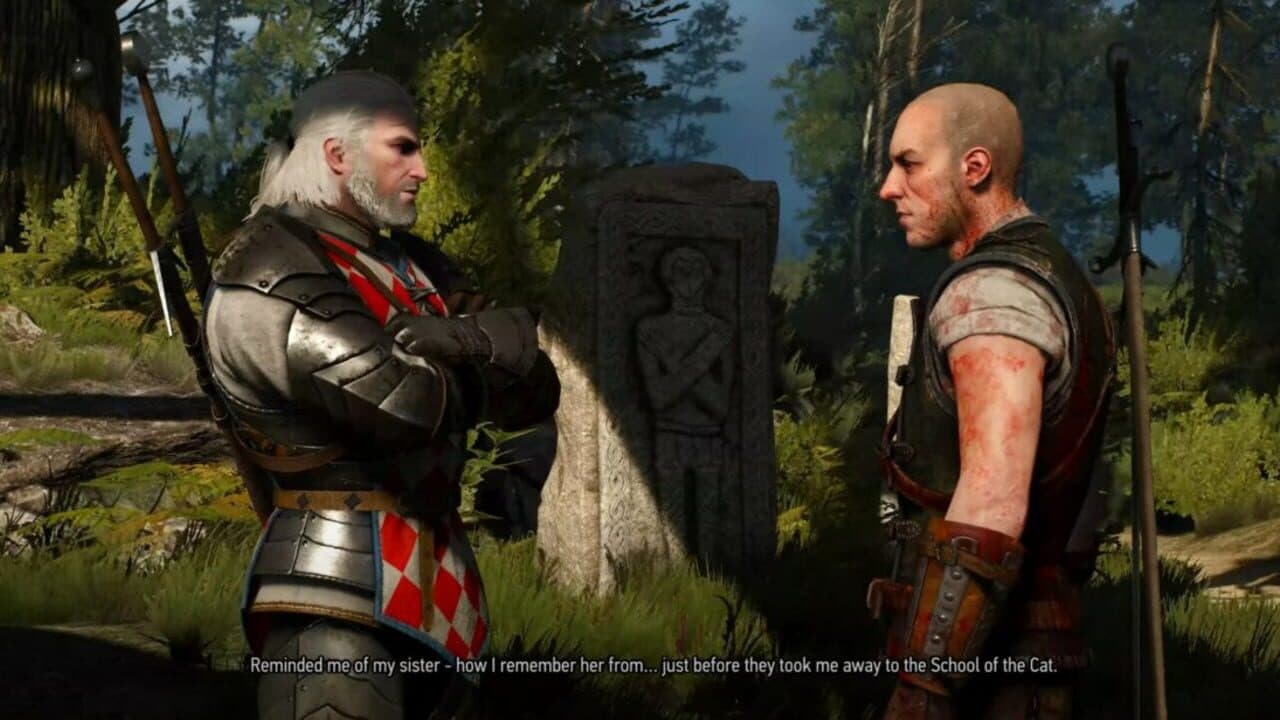 The Witcher 3: Wild Hunt - New Quest 'Where the Cat and Wolf Play...' thumbnail 3