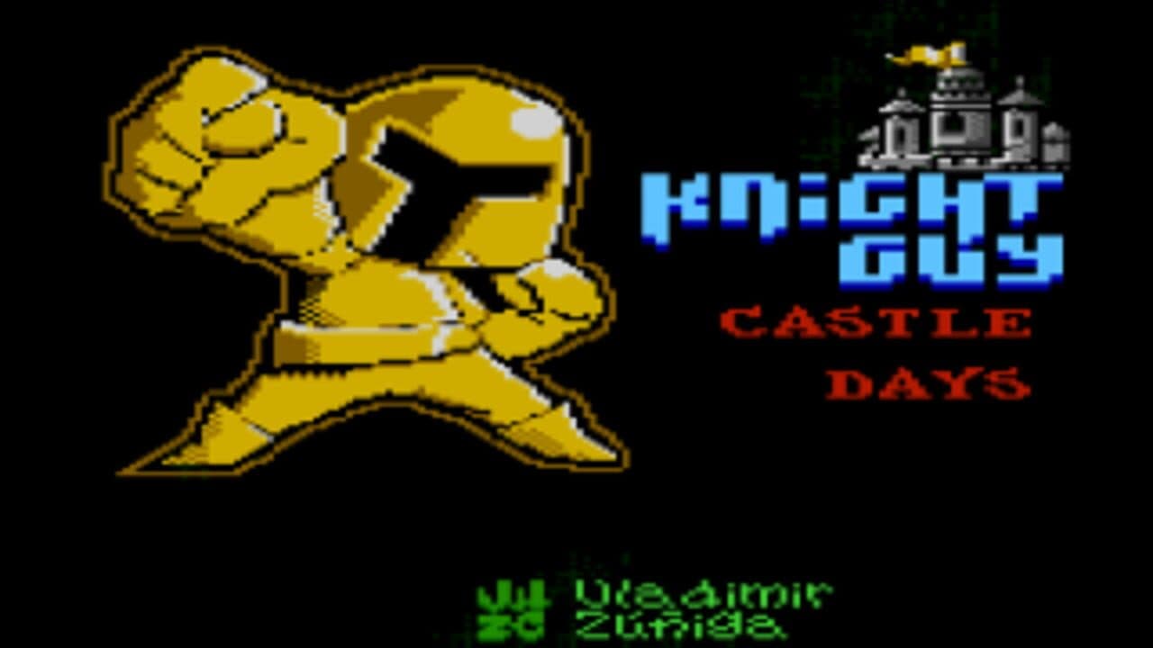 Knight Guy in Low Res World: Castle Days screenshot 1