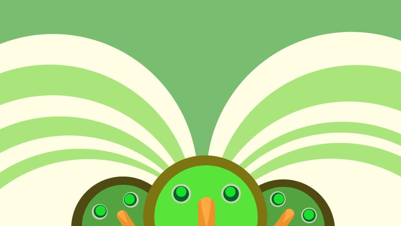 Kiwi thumbnail 3