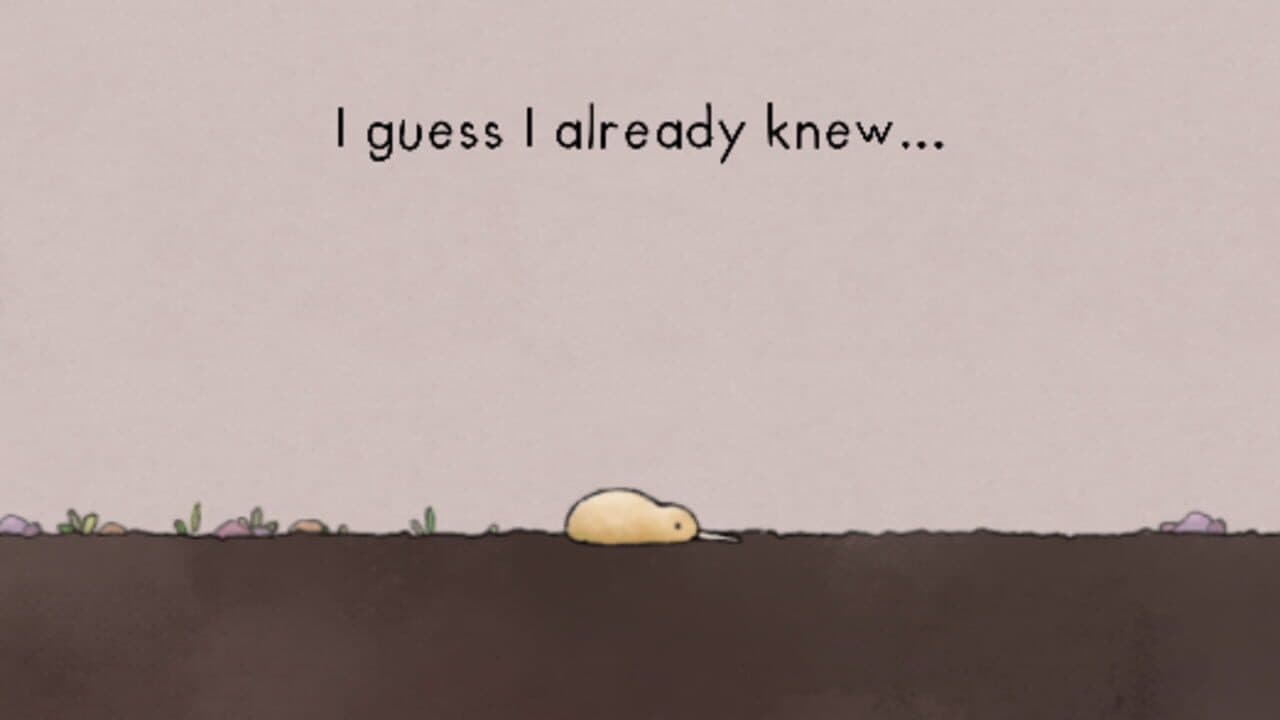 Kiwis Can't Fly thumbnail 6